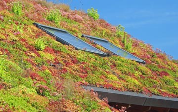 Turves Green living roof systems